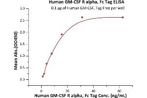 ELISA image for Colony Stimulating Factor 2 Receptor, Alpha, Low-Affinity (Granulocyte-Macrophage) (CSF2RA) (AA 23-320) (Active) protein (Fc Tag) (ABIN6809935)