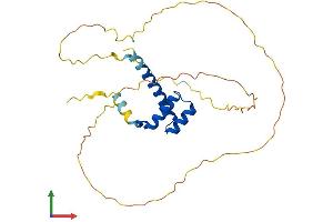 Protein Structure (PS) image for Homeobox C9 (HOXC9) (AA 1-260) protein (His tag) (ABIN7548360)