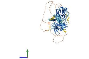 AlphaFold protein structure predicition of Mouse Recombinant Scnn1a Protein, UniprotID Q61180 (SCNN1A Protein (AA 1-699) (His tag))