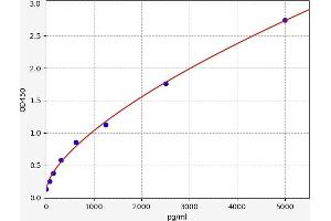 Angiotensin II Type 2 Receptor ELISA 试剂盒