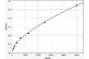 Typical standard curve (Angiotensin II Type 2 Receptor ELISA 试剂盒)