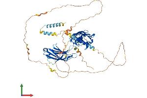 AlphaFold protein structure predicition of Human Recombinant SYT3 Protein, UniprotID Q9BQG1 (Synaptotagmin 3 Protein (AA 1-590) (His tag))
