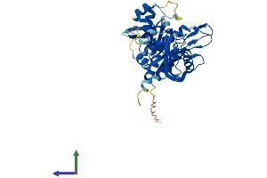 Protein Structure (PS) image for Nudix (Nucleoside Diphosphate Linked Moiety X)-Type Motif 13 (NUDT13) (AA 1-352) protein (His tag) (ABIN7550033)