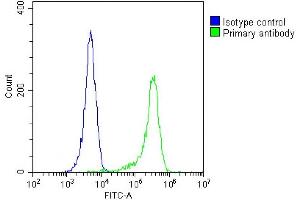 Overlay histogram showing  cells stained with (ABIN655635 and ABIN2845114)(green line). (MLANA 抗体  (AA 34-60))