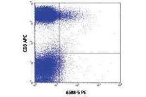 Flow Cytometry (FACS) image for anti-Chemokine (C-C Motif) Receptor 10 (CCR10) antibody (PE) (ABIN2662919) (CCR10 抗体  (PE))