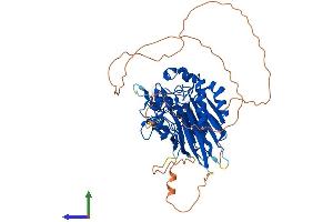 Protein Structure (PS) image for Angel Homolog 2 (ANGEL2) (AA 1-544) protein (His tag) (ABIN7552278)