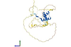 Protein Structure (PS) image for NK2 Homeobox 2 (Nkx2-2) (AA 1-273) protein (His tag) (ABIN7549767)
