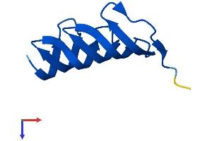AlphaFold protein structure predicition of Mouse Recombinant Morn2 Protein, UniprotID Q6UL01 (MORN2 Protein (AA 1-79) (Fc Tag))
