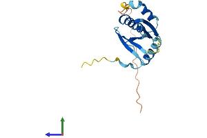 Protein Structure (PS) image for tRNA Splicing Endonuclease 15 Homolog (TSEN15) (AA 1-171) protein (His tag) (ABIN7545994)