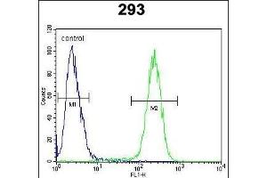 TMEM66 Antibody (N-term) (ABIN654703 and ABIN2844395) flow cytometric analysis of 293 cells (right histogram) compared to a negative control cell (left histogram). (TMEM66 抗体  (N-Term))