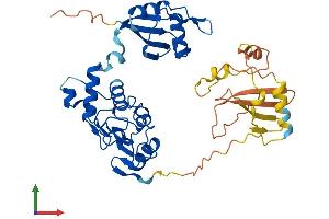 Protein Structure (PS) image for Nuclear RNA Export Factor 5 (NXF5) (AA 1-397) protein (His tag) (ABIN7550003)