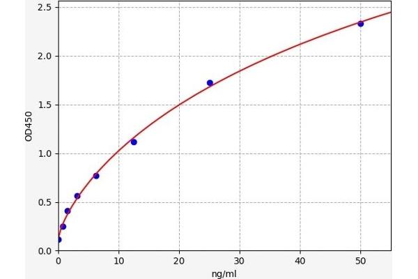 MC5 Receptor ELISA 试剂盒