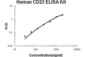 Human CD23/FCER2 PicoKine ELISA Kit standard curve