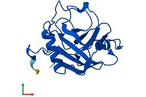 Protein Structure (PS) image for Peptidylprolyl Isomerase (Cyclophilin)-Like 1 (PPIL1) (AA 1-166) protein (His tag) (ABIN7560859)