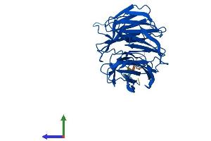 Protein Structure (PS) image for WD Repeat Domain 5B (WDR5B) (AA 1-330) protein (His tag) (ABIN7545167)