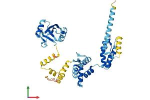 Protein Structure (PS) image for Paraneoplastic Antigen MA1 (PNMA1) (AA 1-353) protein (His tag) (ABIN7559104)