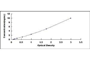 Typical standard curve (RACGAP1 ELISA 试剂盒)