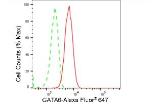 Flow cytometric analysis of GATA6 expression in HT- cells using GATA6 antibody (ABIN7798697), 1:2,000).