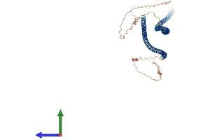 AlphaFold protein structure predicition of Human Recombinant KRT85 Protein, UniprotID P78386