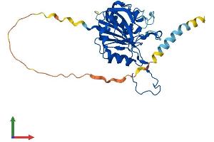 AlphaFold protein structure predicition of Human Recombinant B3GAT2 Protein, UniprotID Q9NPZ5