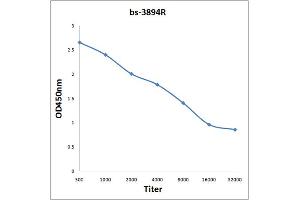 Antigen: 0. (SULF2 抗体  (AA 651-750))