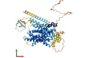 Protein Structure (PS) image for Solute Carrier Family 9, Subfamily A (NHE9, Cation Proton Antiporter 9), Member 9 (SLC9A9) (AA 1-645) protein (His tag) (ABIN7555521)