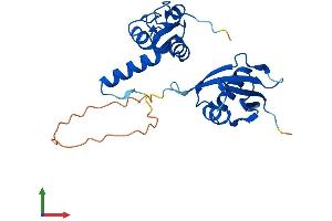 Protein Structure (PS) image for Polycomb Group Ring Finger 3 (PCGF3) (AA 1-241) protein (His tag) (ABIN7558879)