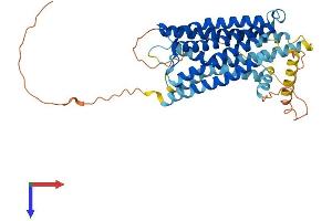 SSTR3 Protein (AA 1-418) (His tag)
