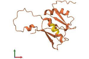 AlphaFold protein structure predicition of Human Recombinant FER1L6-AS2 Protein, UniprotID Q96M78
