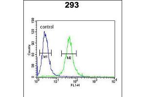 Flow cytometric analysis of 293 cells (right histogram) compared to a negative control cell (left histogram). (GATA2 抗体  (AA 262-288))