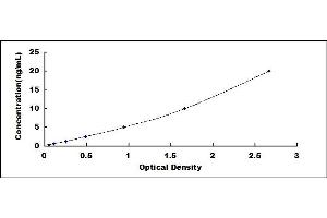 Typical standard curve (SYT7 ELISA 试剂盒)