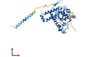 AlphaFold protein structure predicition of Mouse Recombinant Tpst2 Protein, UniprotID O88856