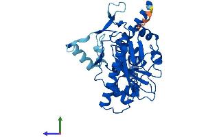 AlphaFold protein structure predicition of Human Recombinant MOGAT3 Protein, UniprotID Q86VF5
