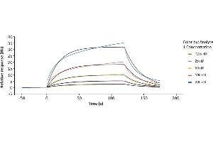 Surface Plasmon Resonance (SPR) image for Fc Fragment of IgG, Low Affinity IIIa, Receptor (CD16a) (FCGR3A) (AA 17-208) protein (His-Avi Tag,Biotin) (ABIN7536872)