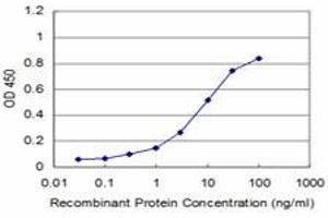 Detection limit for recombinant GST tagged RAX is approximately 1ng/ml as a capture antibody. (RAX 抗体  (AA 104-206))