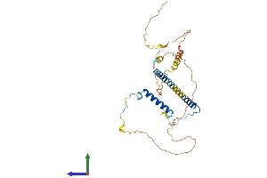 AlphaFold protein structure predicition of Mouse Recombinant Rsrc1 Protein, UniprotID Q9DBU6