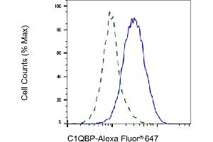 Validation of C1QBP knockdown using flow cytometry. (Recombinant C1QBP 抗体)