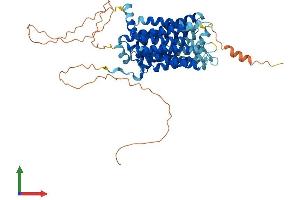 Protein Structure (PS) image for Solute Carrier Family 29 (Nucleoside Transporters), Member 4 (SLC29A4) (AA 1-528) protein (His tag) (ABIN7564688)