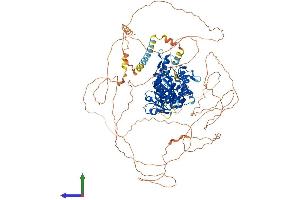 Protein Structure (PS) image for DENN/MADD Domain Containing 1A (DENND1A) (AA 1-1009) protein (His tag) (ABIN7553690)