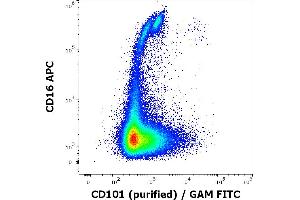 Flow cytometry multicolor surface staining of human lymphocytes stained using anti-human CD101 (BB27) purified antibody (concentration in sample 0,56 μg/mL, GAM FITC) and anti-human CD16 (3G8) APC antibody (10 μL reagent / 100 μL of peripheral whole blood). (CD101 抗体)