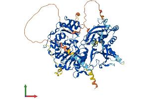 AlphaFold protein structure predicition of Human Recombinant XYLT2 Protein, UniprotID Q9H1B5