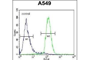LILRA2 Antibody (Center) (ABIN654421 and ABIN2844156) flow cytometric analysis of A549 cells (right histogram) compared to a negative control cell (left histogram). (LILRA2 抗体  (AA 55-81))