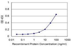 Detection limit for recombinant GST tagged RHOA is approximately 3ng/ml as a capture antibody. (RHOA 抗体  (AA 1-193))