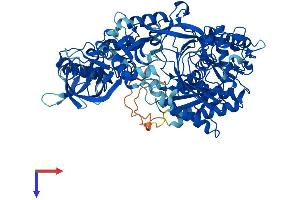 AGO1 Protein (AA 1-857) (His tag)