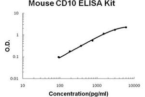 Mouse Neprilysin/CD10 PicoKine ELISA Kit standard curve (MME ELISA 试剂盒)