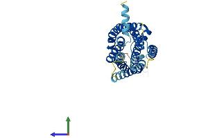 AlphaFold protein structure predicition of Mouse Recombinant Cysltr2 Protein, UniprotID Q920A1