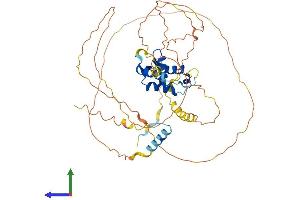 Protein Structure (PS) image for Forkhead Box N3 (FOXN3) (AA 1-490) protein (His tag) (ABIN7547832)