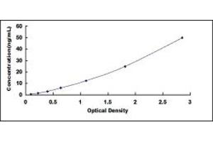 Typical standard curve (CHRNA5 ELISA 试剂盒)