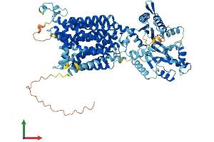 Protein Structure (PS) image for Patched Domain Containing 1 (PTCHD1) (AA 1-888) protein (His tag) (ABIN7563637)