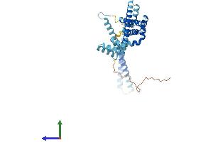 Protein Structure (PS) image for Cell Division Cycle 37 Homolog (S. Cerevisiae) (CDC37) (AA 1-378) protein (His tag) (ABIN7553111)